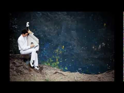 Бандура  Валентин Лисенко