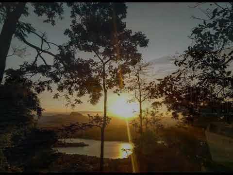 503   Deixa me Contigo Andar