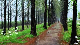 viens Viens Rain Rain