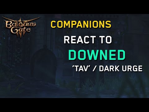 Companions' Reactions to Downed Tavs/Durges | Baldur's Gate 3