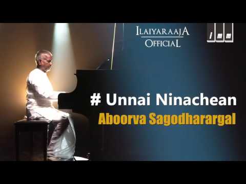 Unna Nenachen Song | Apoorva Sagodharargal Tamil Movie | Kamal Hassan | Amala | Ilaiyaraaja Official