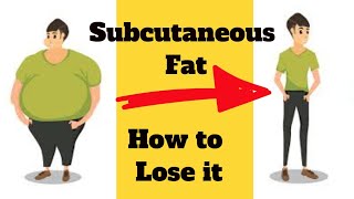 What Is Subcutaneous Fat and How to get rid of Subcutaneous Fat