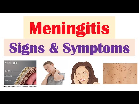 Meningitis Signs and Symptoms (& Why They Occur)