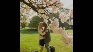 Sol de primavera   Catedral