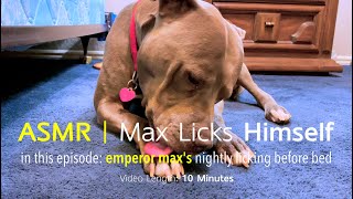 Max Licks | Himself | ASMR DOG LICKING | No Talking
