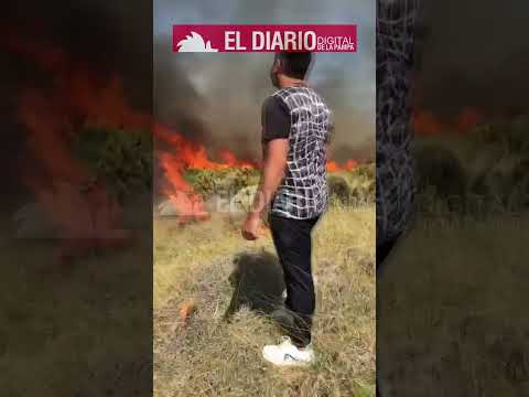 Tormenta eléctrica causó un incendio en la zona de Puelén