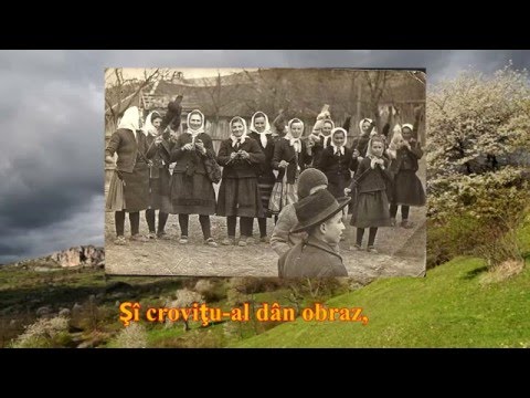 Mândra mea cu cârpa mură-  Slavica Jovic Kolerovic