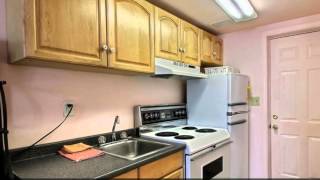 The Sandbox Motel | Sally Hand