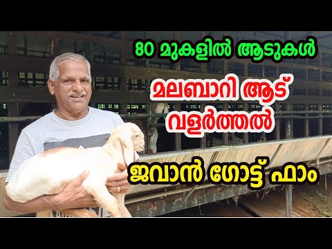 , title : 'ആട് വളർത്താം | അറിവ് ആട് വളർത്തൽ ആദായകരമാക്കും  | Goat Farming Tips in Kerala | Aadu Valarthal | ആട്'