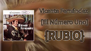 Vicente Fernández: La Yegua Palomina [El Número Uno] Karaoke {RUBIO}