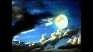 One More Night- Tom Petty cover by Devin Woods