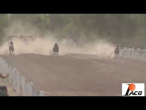 SRTA  GRINGA HIPODROMO DON NICO BAÑADO DE SOTO 30 10 2022