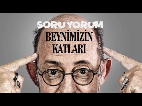 SoruYorum - Beynimizin Katları