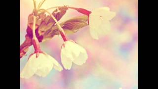 Pretty Little Mess - The New Cities