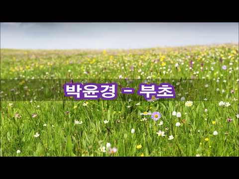 박윤경 - 부초 kpop 韓國歌謠