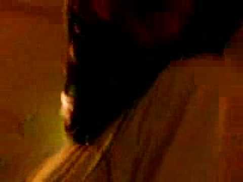 astral tribe in live areamito