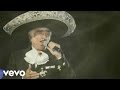 Vicente Fernández, Mariachi México de Pepe Villa - Aprendiste A Volar (Audio)