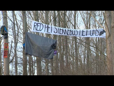 SPAS Cake van de Week Actie Red het Sterrebos