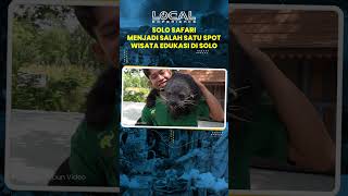 Serunya Mengenal dan Berinteraksi dengan Fauna di Solo Safari, Salah Satunya Gajah Sumatera