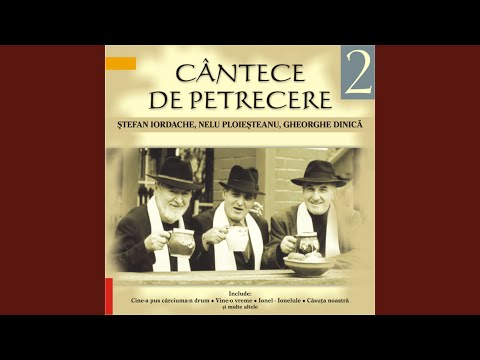 Cine-A pus carciuma-n drum