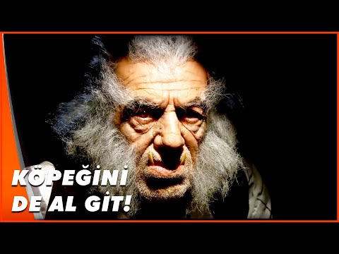 Kurt Adamın İlk Kurbanı Seyis | Kutsal Damacana 2: İtmen