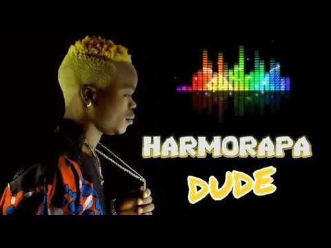 harmorapa - dude (Official music video)