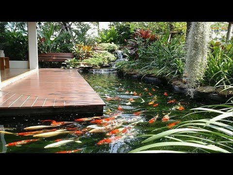 Garden Pond At Best Price In India