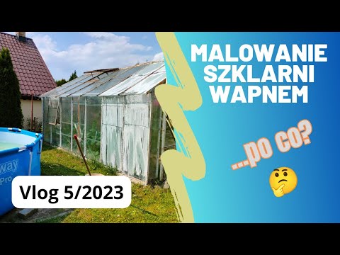 #23 Vlog 5/2023 Malowanie szklarni i przycinanie pomidorów