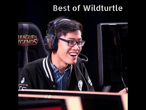 Wildturtle's Best Moments - Pro Player Montage