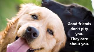 The narcissist&#39;s fan club has a secret