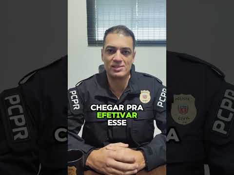 Polícia Civil de Palmeira PR esclarece mais 1 crime