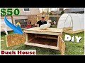 $50 DIY Duck House / Coop (Easy Build)
