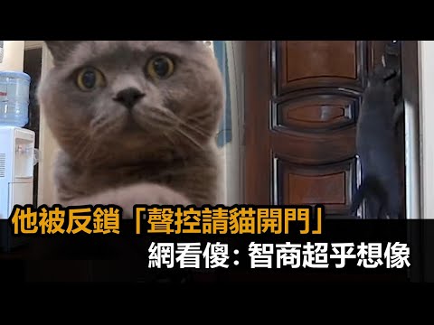 貓開門
