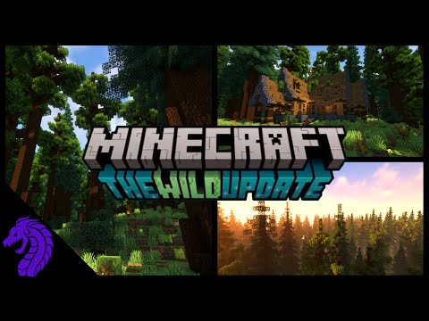 Minecraft Wild Update | Minecraft 1.19 | New Biomes | Redwoods Forest | Biome Update Ideas