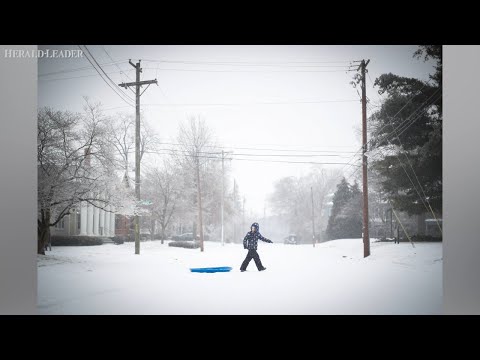 What Lexington looked like under a blanket of snow, sleet and ice