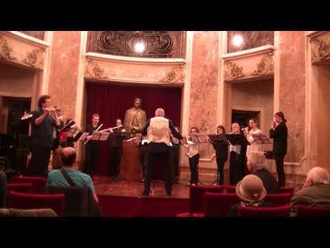 Cornel Ţăranu: Concerto Breve III