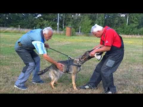 China Zde-Sko, obrana 9 měsíců