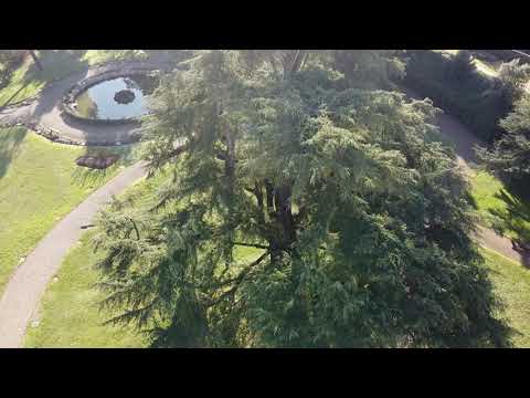 Villa Medicea - Poggio a Caiano DJI Mavic Mini