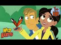 Voyage Of The Butterflier Full Episodes Wild Kratts 9 Story Kids
