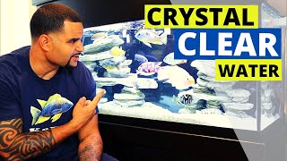 Crystal Clear Aquarium Water - (Easier than you think)