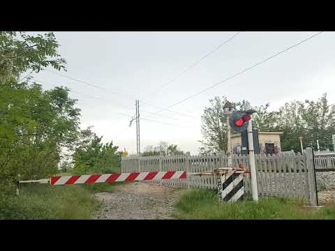 Transito al PL murato a Treviso - Via S.Lucia versione smartphone.