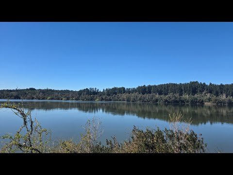 Se venden 2 parcelas 33.000 m2,  casa de 7d y 10.000 m2 con cabaña 2 d, lado rio Bio Bio Nacimiento 