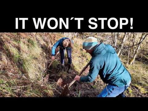 We Found Endless Spring Water — Farm Restoration In Norway