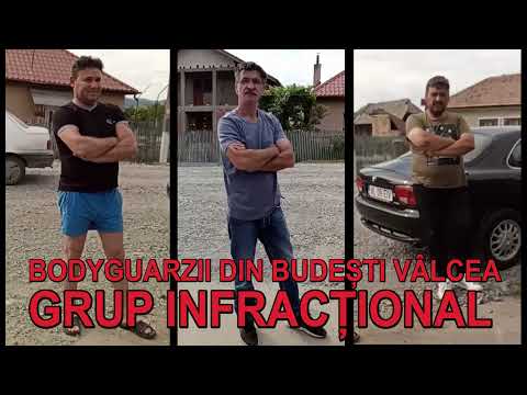 GRUPUL INFRACTIONAL DIN JUDETUL VALCEA, COMUNA BUDESTI, SAT BARZA, PE CARE IL VOI DESTRUCTURA