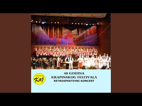 Da sem ti z lasima zvezala roke