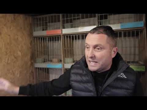 Golubarske priče Vladimir Vujković Vujko srb 624