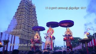 Festival 2017 Day 15 Pm HD Videos