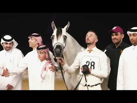 TM Bella - Class Winner Junior Fillies 2A, WAHC 2023