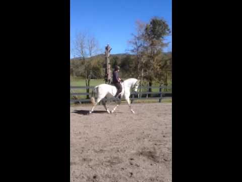 Legend w Lynelle & Diane