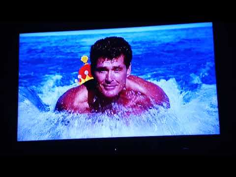 David Hasselhoff Scene